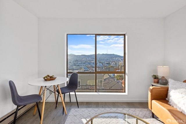 interior space with a mountain view and light hardwood / wood-style flooring