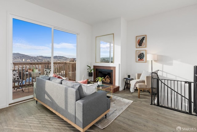 living room with wood-type flooring, a mountain view, and a fireplace