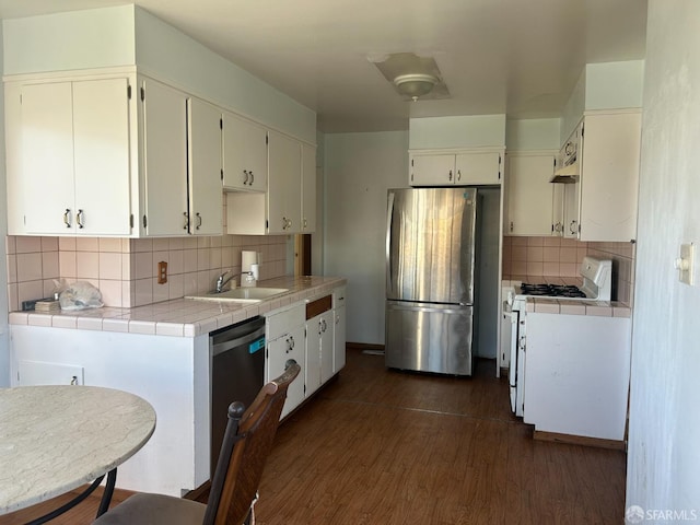 kitchen featuring tile counters, tasteful backsplash, appliances with stainless steel finishes, dark wood-type flooring, and a sink