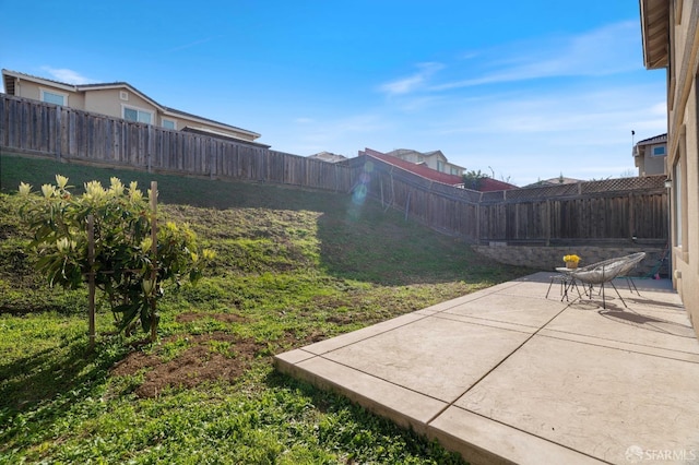 view of yard with a patio