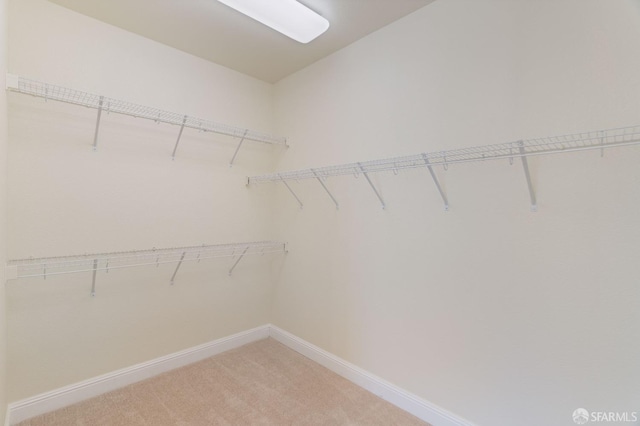 spacious closet with carpet floors