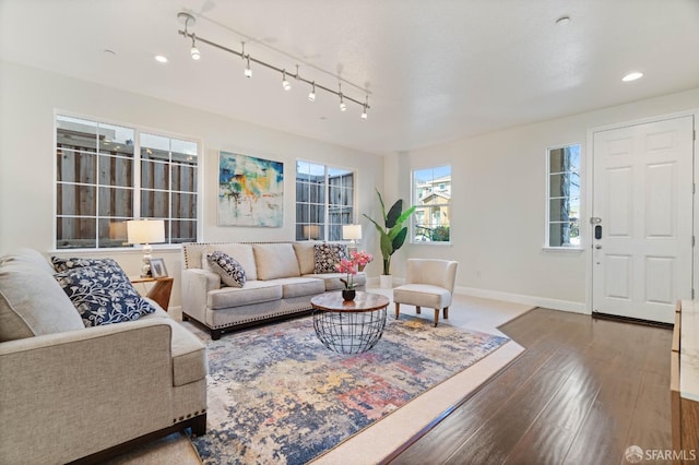 living room featuring wood-type flooring