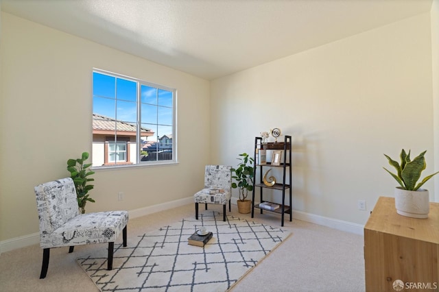 sitting room with light carpet