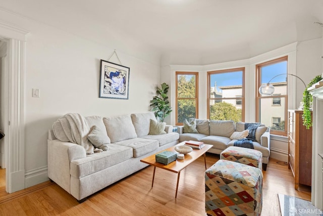 living room with hardwood / wood-style flooring