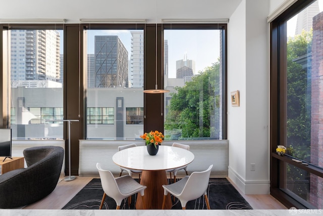 dining room with a view of city, a wall of windows, baseboards, and light wood-style floors