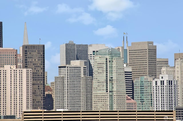 451 Kansas St Unit 428, San Francisco, CA 94107 - skyline view