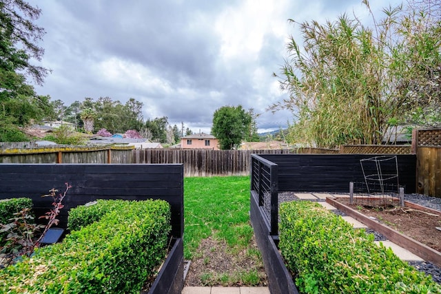 view of yard with a fenced backyard and a garden