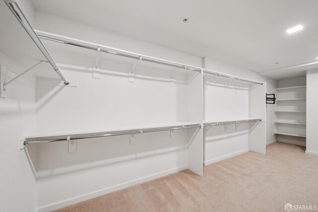 1605 Riviera Ave Unit 608, Walnut Creek, CA 94596 - spacious closet with carpet floors