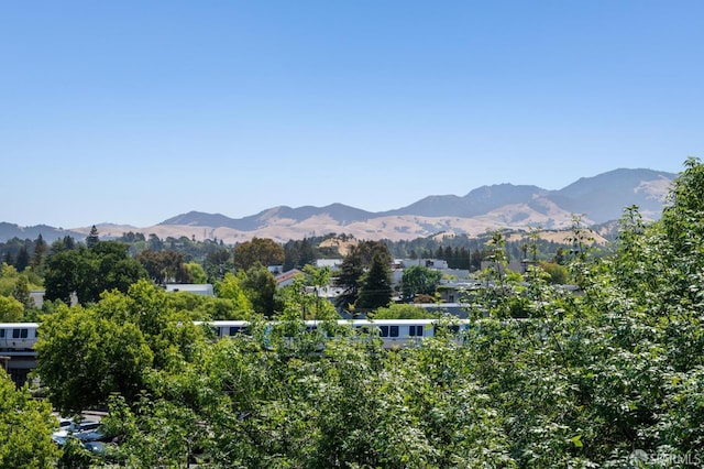 1605 Riviera Ave Unit 608, Walnut Creek, CA 94596 - view of mountain background
