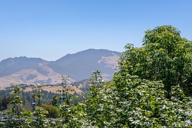 1605 Riviera Ave Unit 608, Walnut Creek, CA 94596 - view of mountain backdrop