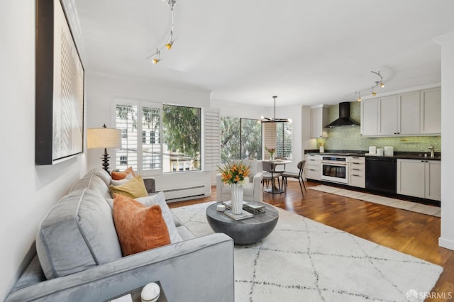 living area with track lighting, a baseboard radiator, and light wood finished floors