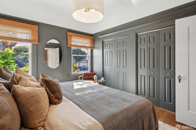 bedroom featuring multiple closets, ornamental molding, light hardwood / wood-style flooring, and multiple windows