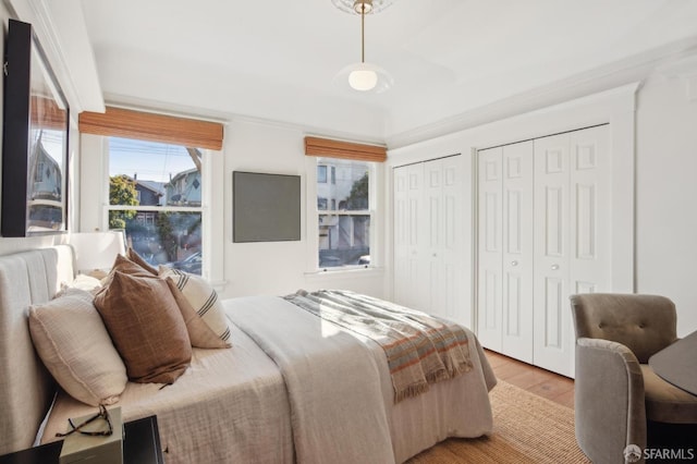 bedroom featuring two closets and light hardwood / wood-style floors