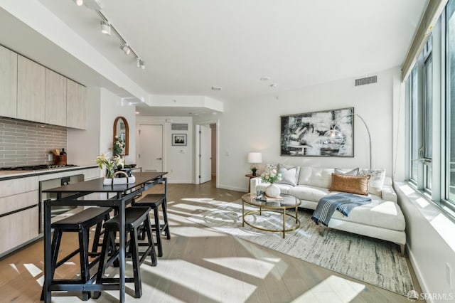 living room featuring light hardwood / wood-style flooring