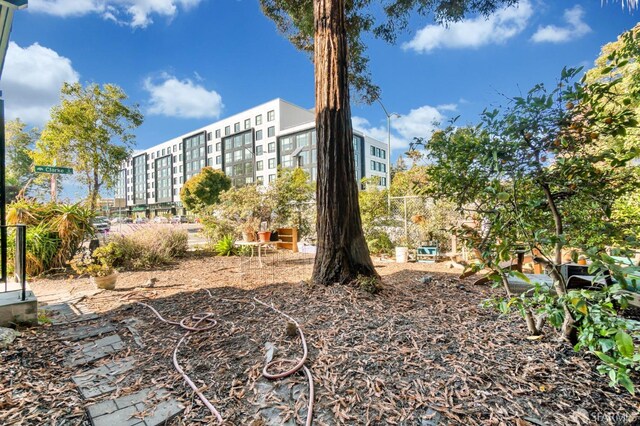 5020 Clarke St, Oakland, CA 94609 - view of surrounding community