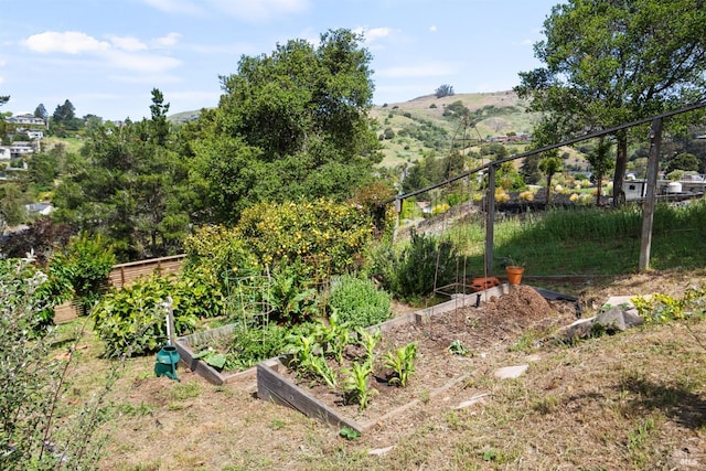 view of yard featuring fence, a mountain view, and a vegetable garden
