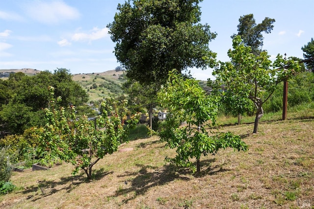 view of nature