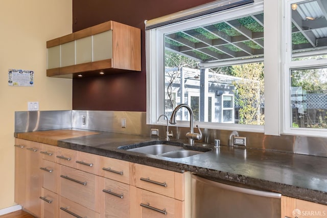 kitchen with sink and dishwasher