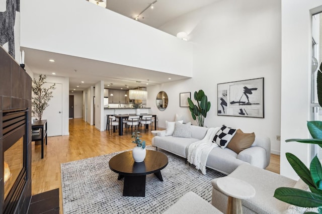 living room featuring a high ceiling and hardwood / wood-style floors