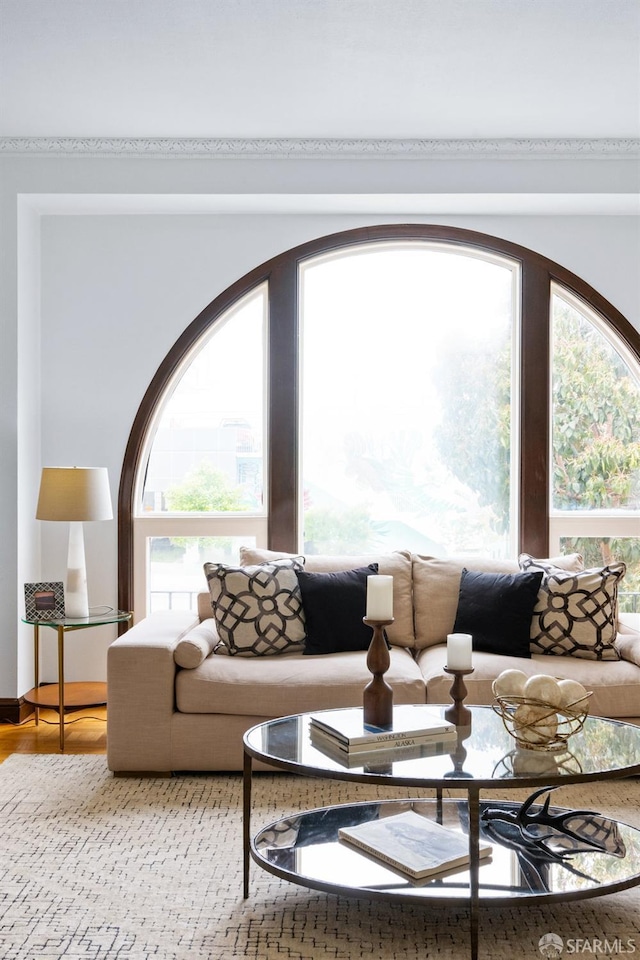 57 Masonic Ave, San Francisco, CA 94118 - living room featuring plenty of natural light and light wood finished floors