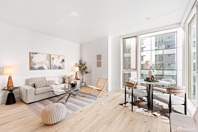 living room featuring a wall of windows and light hardwood / wood-style flooring