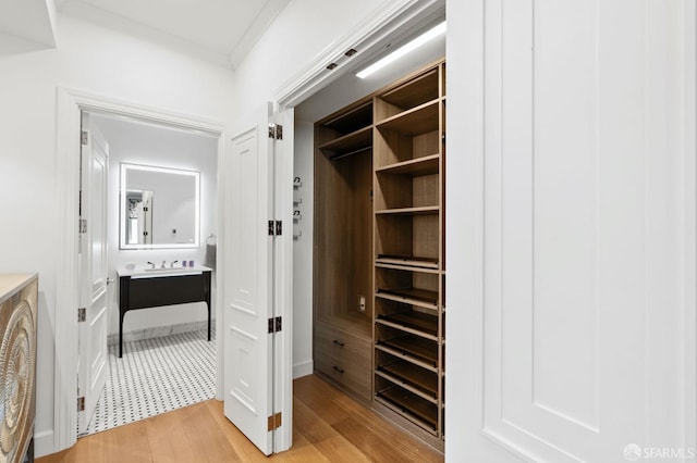 closet featuring a sink
