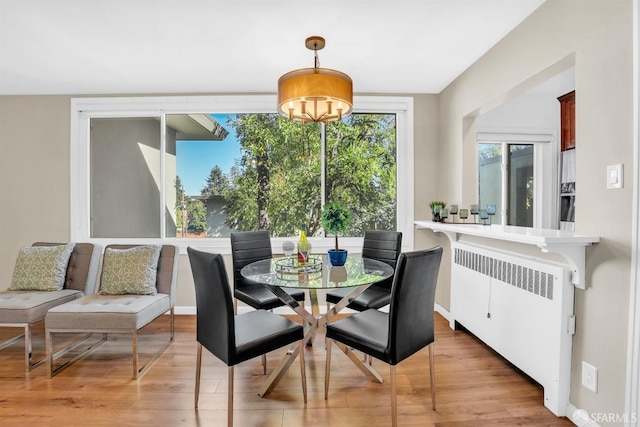 dining room with radiator heating unit and light hardwood / wood-style flooring