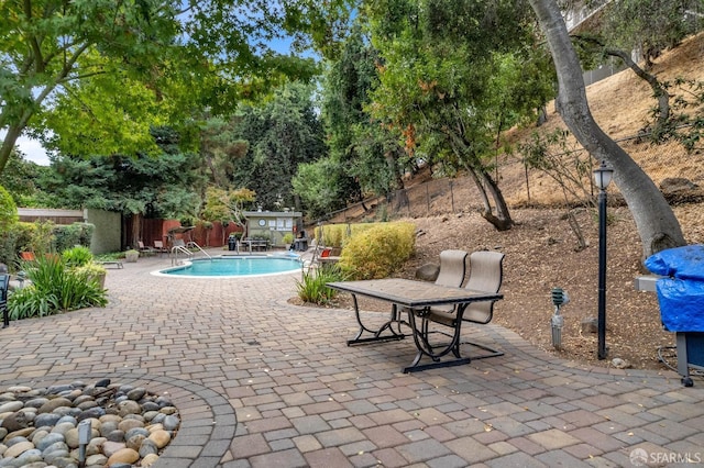 view of swimming pool with a patio