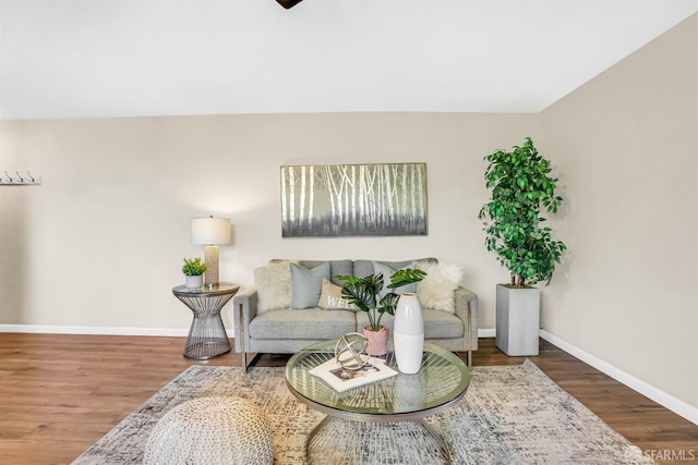 living room featuring hardwood / wood-style flooring