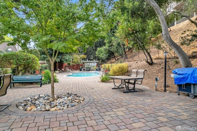 view of swimming pool with a patio area