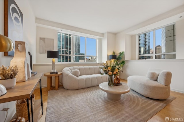 living room with a wealth of natural light and light hardwood / wood-style flooring