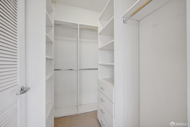 spacious closet featuring light carpet