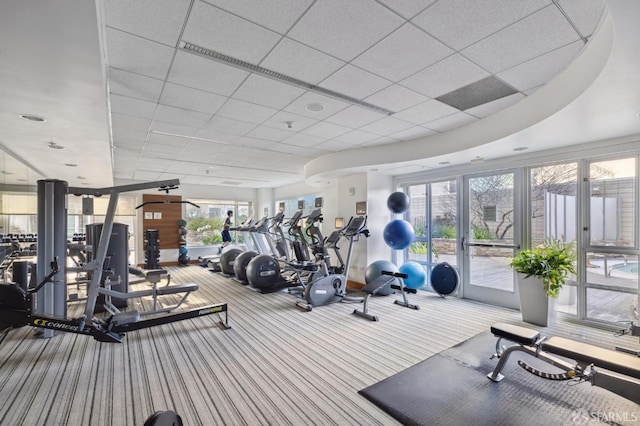 workout area with carpet and a paneled ceiling