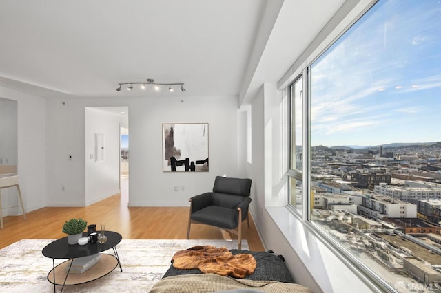 living area featuring light wood-type flooring