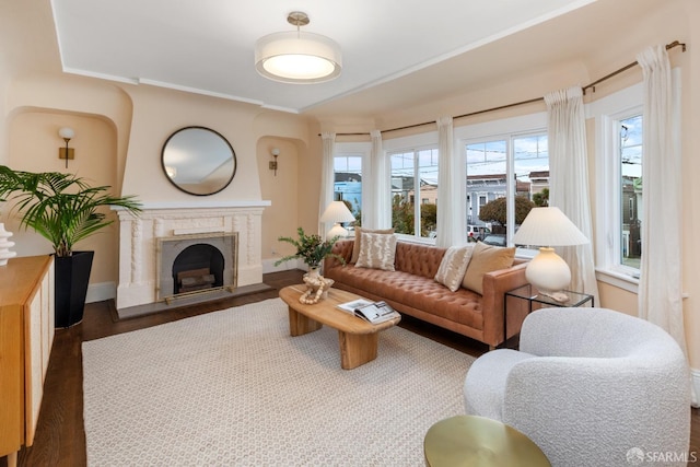 living room with dark hardwood / wood-style flooring