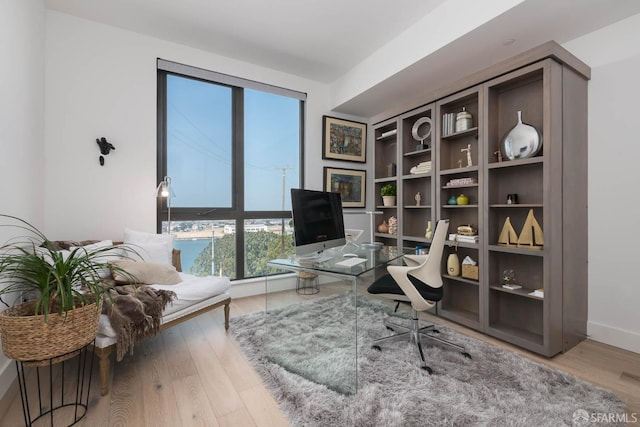 office with plenty of natural light, baseboards, and wood finished floors
