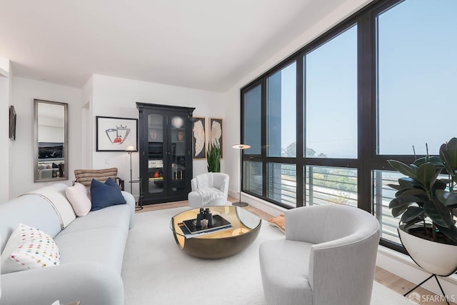 living area with wood finished floors