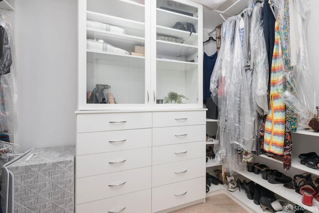 view of walk in closet