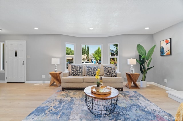 living room with a textured ceiling and light hardwood / wood-style flooring