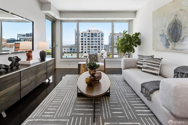 living room with wood finished floors, a city view, and baseboards
