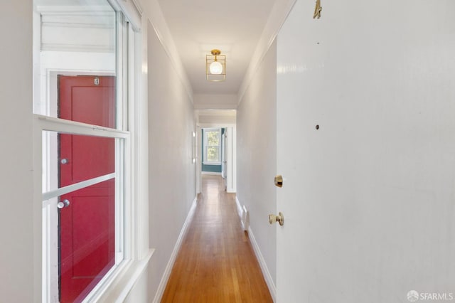 1930 Grove St Unit 4, San Francisco, CA 94117 - hallway featuring wood finished floors and baseboards