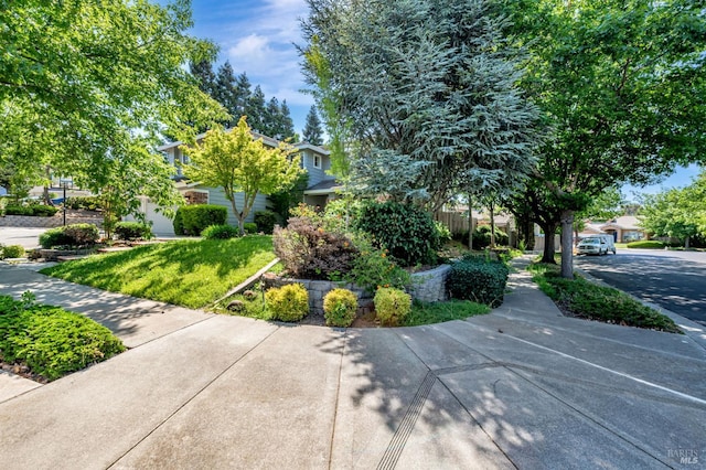 2035 Kirkwood Ct, Fairfield, CA 94534 - view of property hidden behind natural elements featuring a residential view and a front lawn