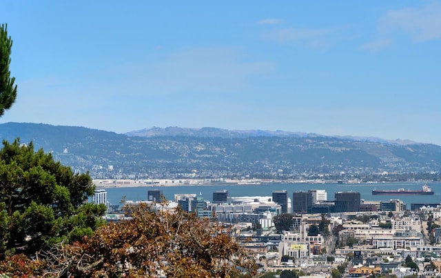 32 Mars St, San Francisco, CA 94114 - photo 36