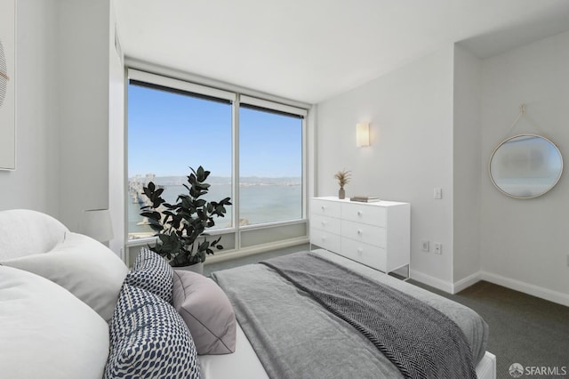 425 1st St Unit 3401, San Francisco, CA 94107 - bedroom with carpet floors, baseboards, and a water view