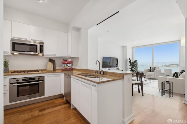 425 1st St Unit 3401, San Francisco, CA 94107 - kitchen featuring stainless steel appliances, a sink, a peninsula, open floor plan, and light wood-style flooring