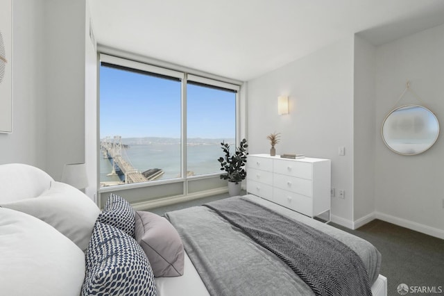 425 1st St Unit 3401, San Francisco, CA 94107 - carpeted bedroom featuring a water view and baseboards