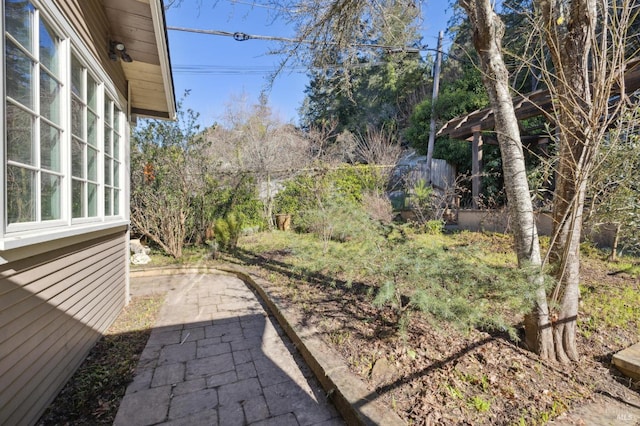 view of yard featuring a patio area