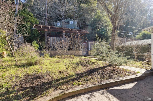 view of yard featuring a shed