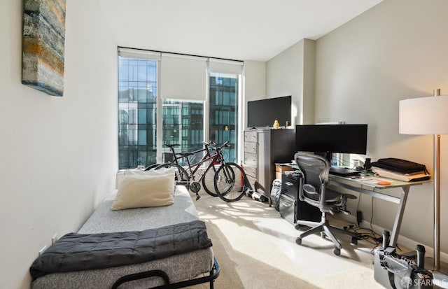 bedroom with carpet floors and floor to ceiling windows