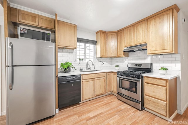 kitchen featuring appliances with stainless steel finishes, sink, and light hardwood / wood-style floors